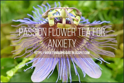 passion flower tea for anxiety